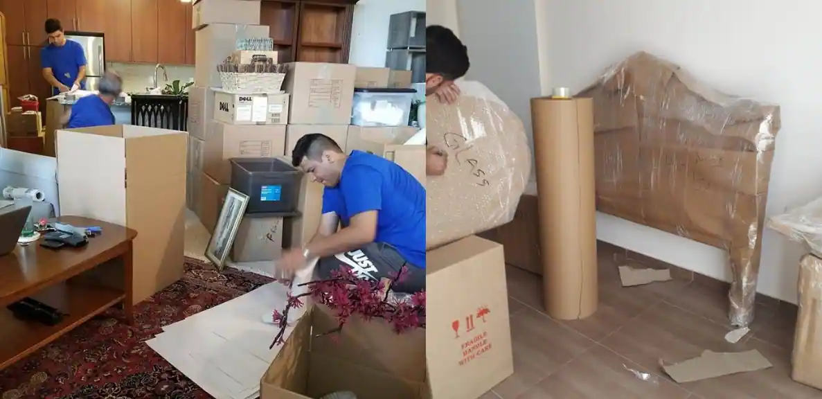 Packers and Movers