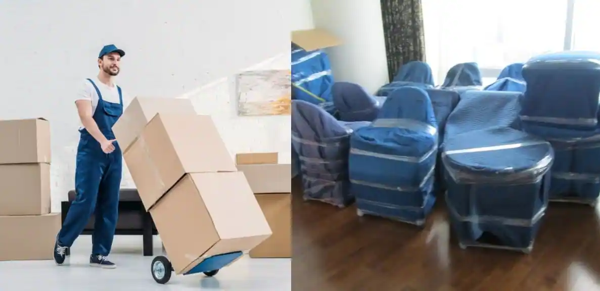Packers and Movers