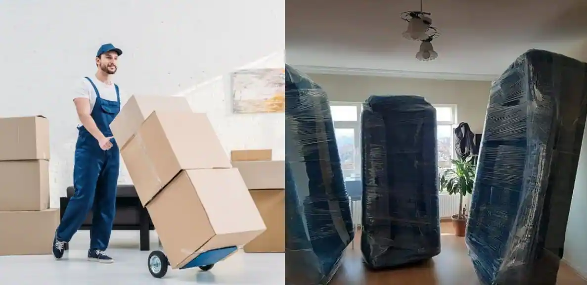 Packers and Movers