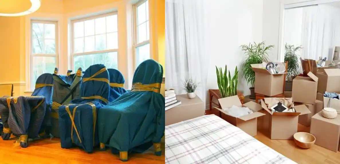 Packers and Movers
