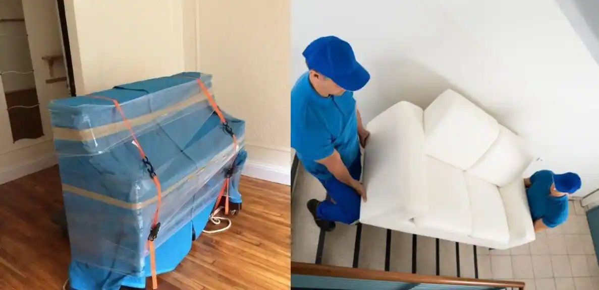Packers and Movers