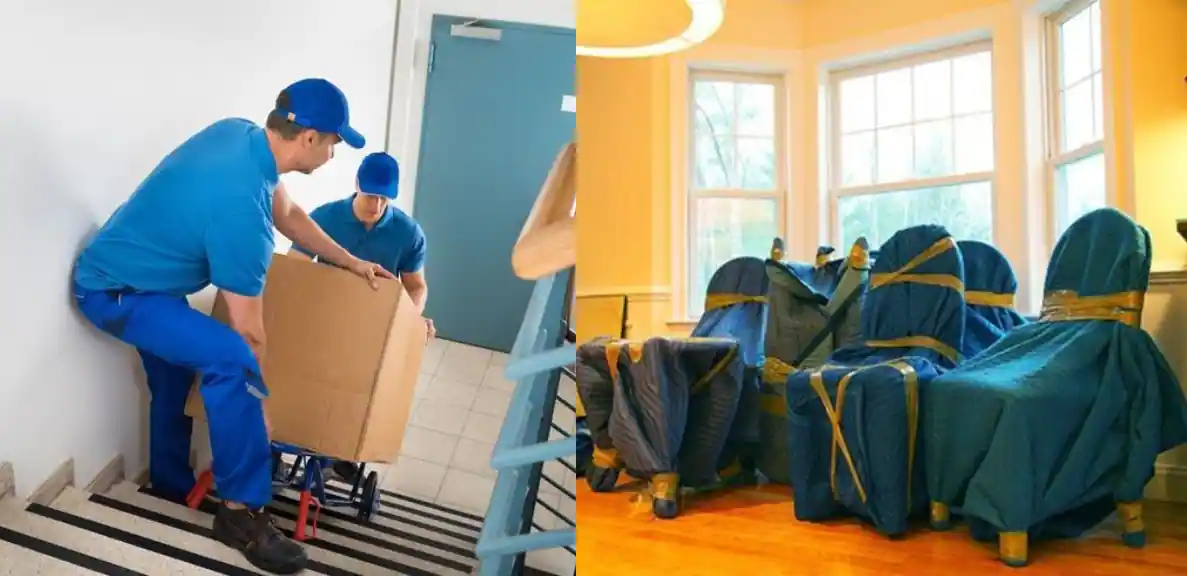 Packers and Movers