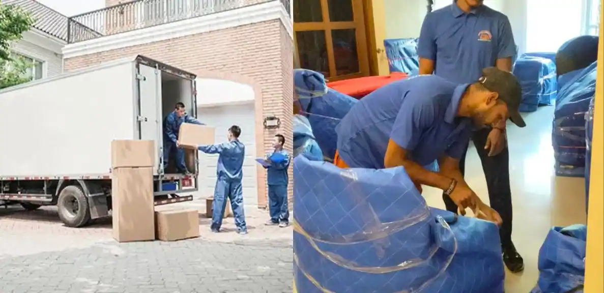 Packers and Movers
