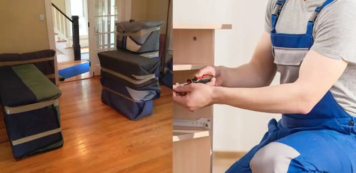 Packers and Movers